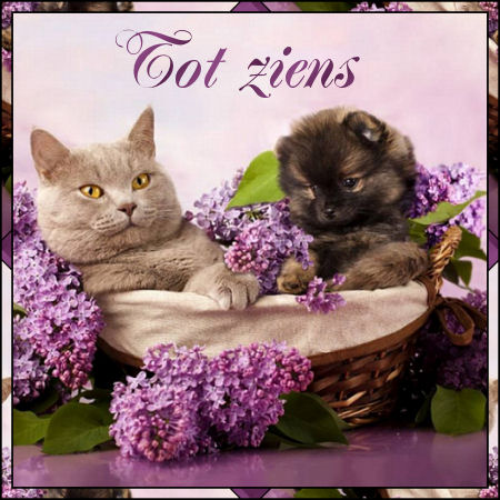 Tot Ziens