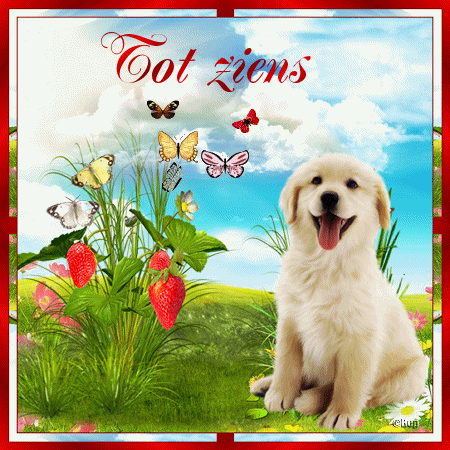 Tot Ziens